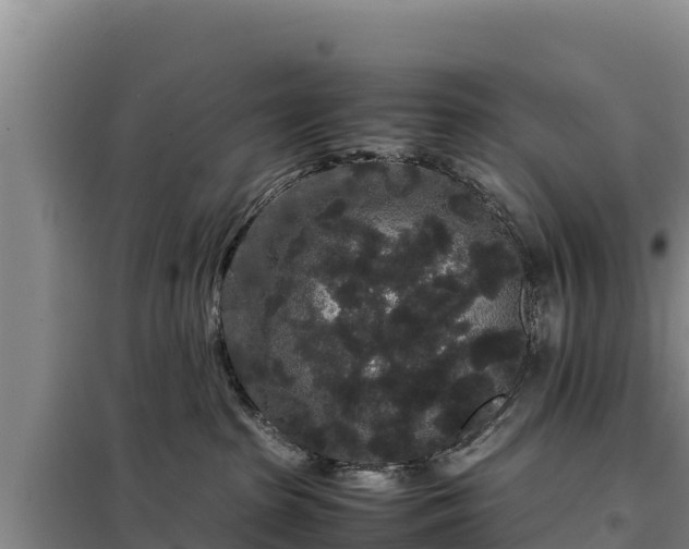 X0000099310285200805091025