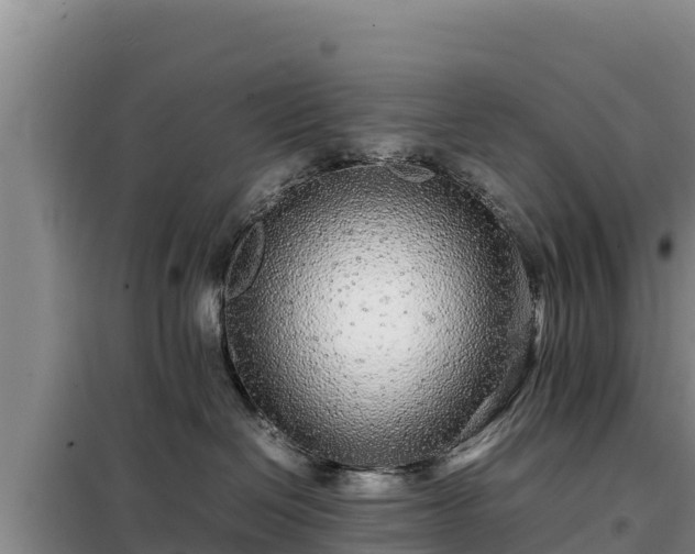 X0000099310286200805091025