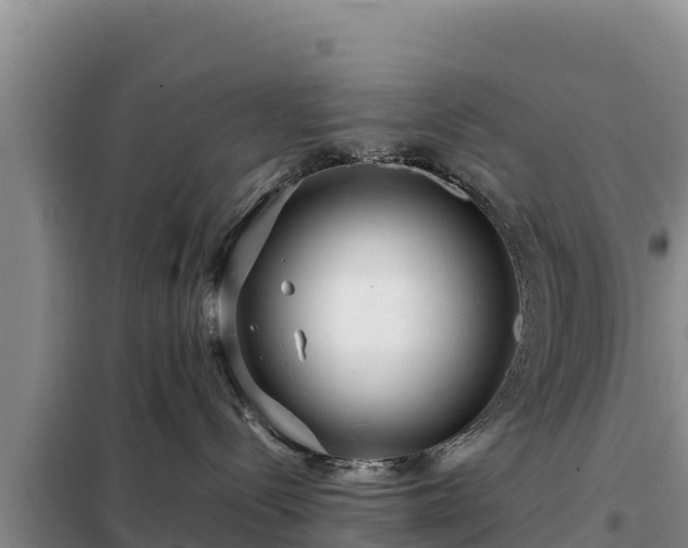 X0000099310288200805091025