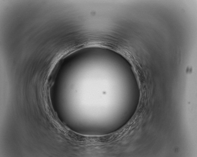 X0000099310289200805091025