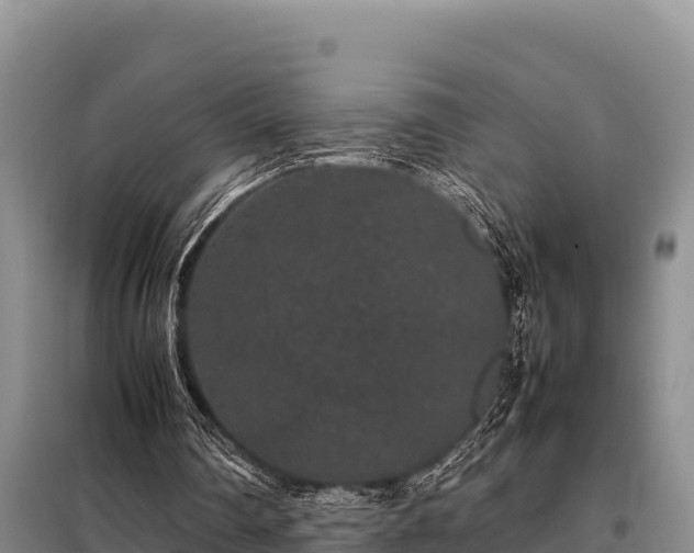 X0000099310290200805091025