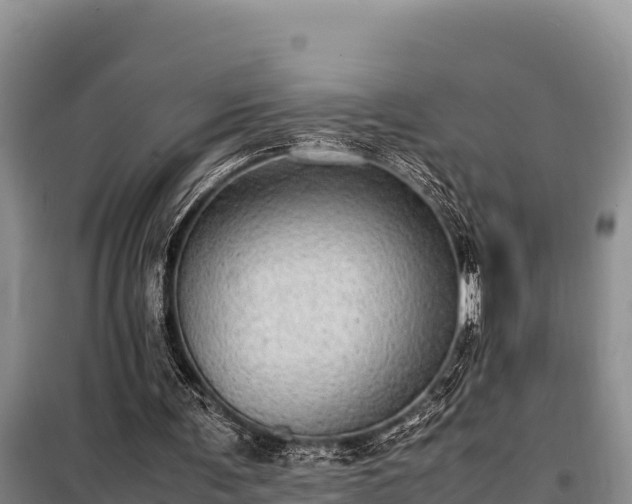 X0000099310291200805091025