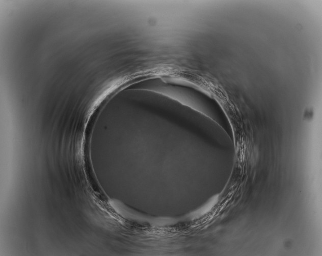 X0000099310292200805091025