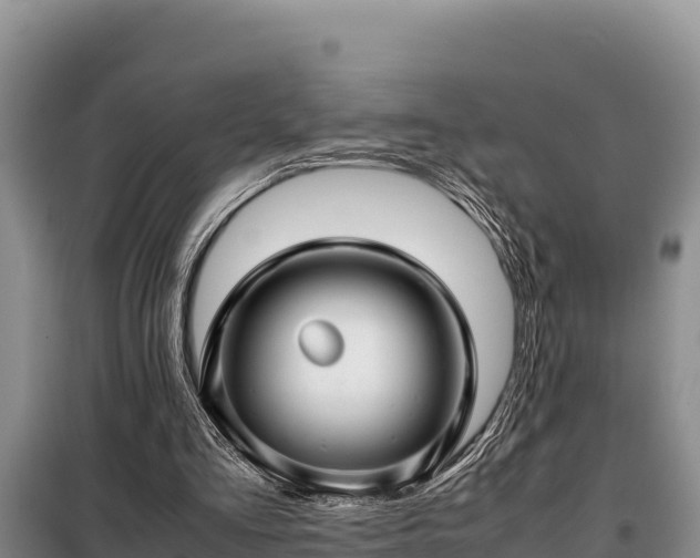 X0000099310293200805091025