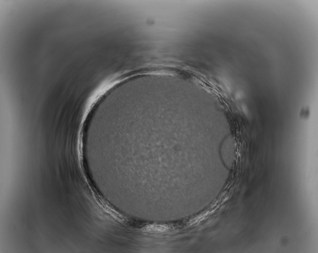 X0000099310294200805091024