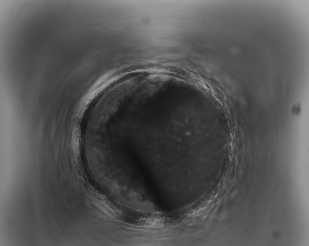 X0000099310295200805091024