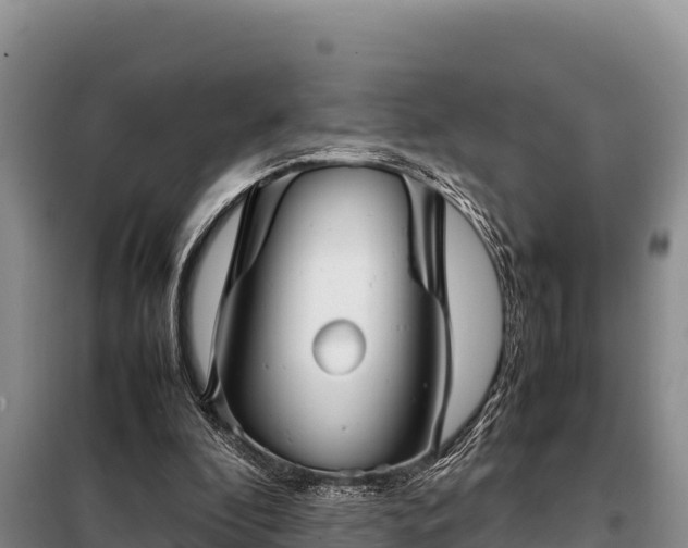 X0000099310296200805091024