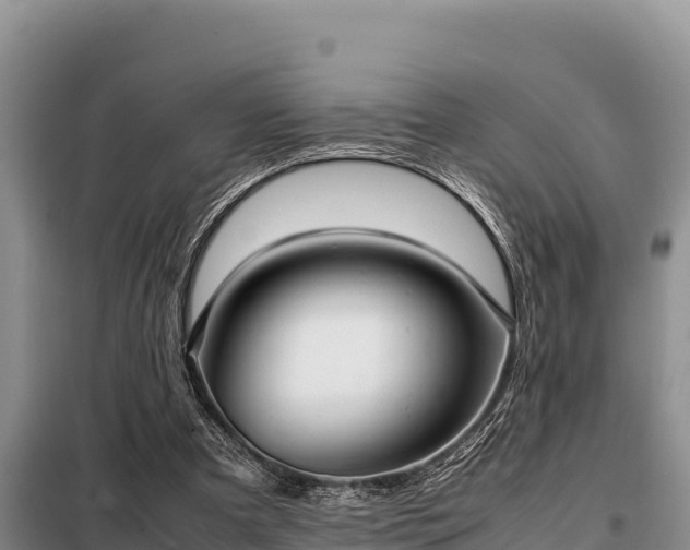 X0000099310297200805091024