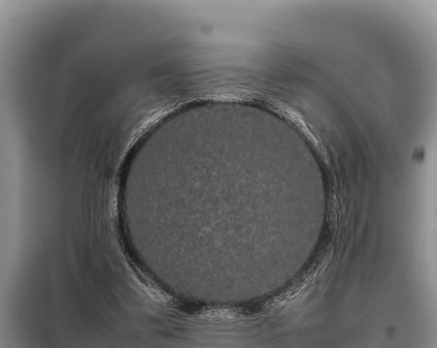 X0000099310299200805091024