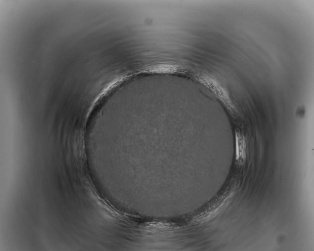 X0000099310300200805091024