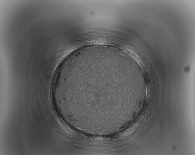 X0000099310301200805091024