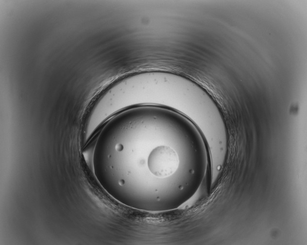 X0000099310302200805091024