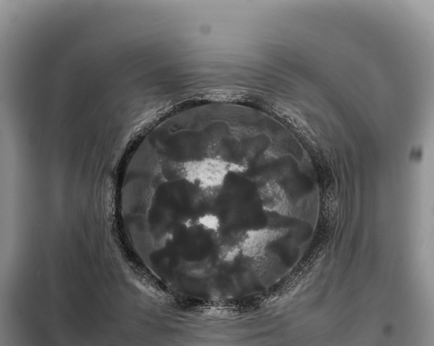 X0000099310303200805091024