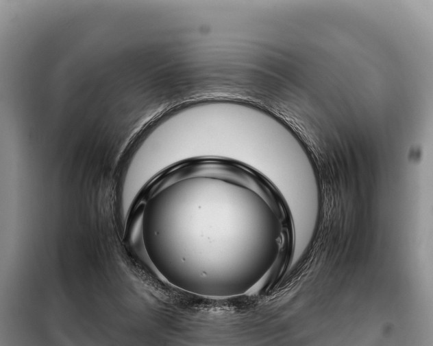 X0000099310304200805091024