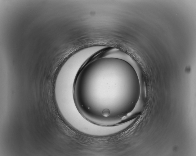 X0000099310305200805091024