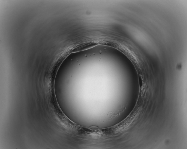 X0000099310306200805091024