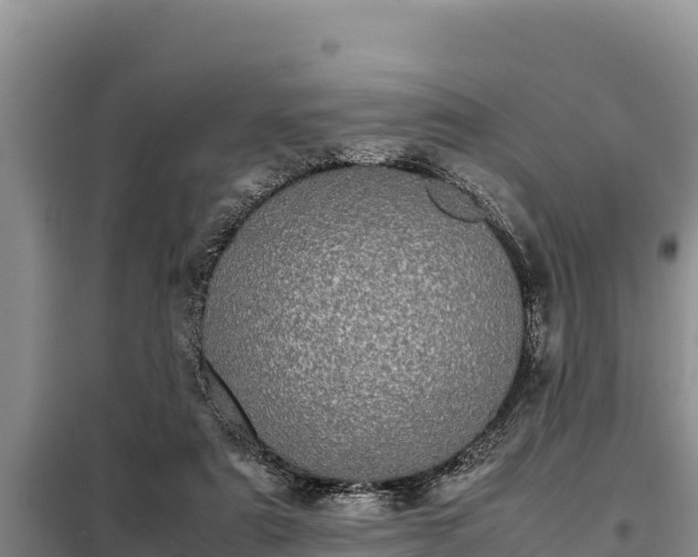 X0000099310307200805091024