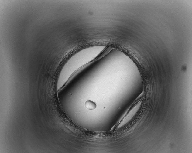 X0000099310308200805091024