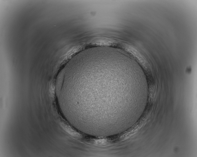 X0000099310309200805091024