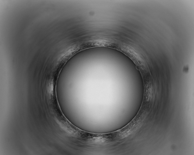 X0000099310310200805091024