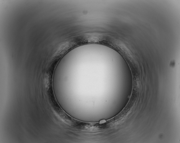 X0000099310311200805091024