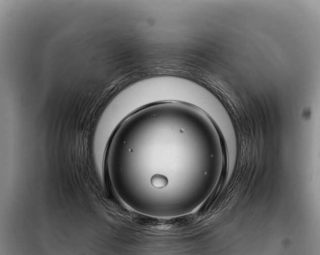 X0000099310312200805091024