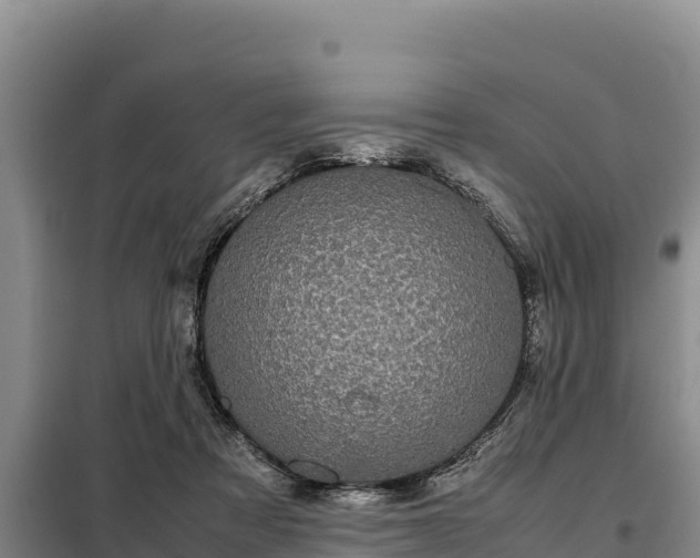 X0000099310313200805091024