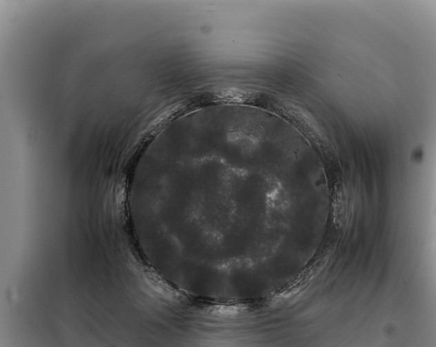 X0000099310314200805091024