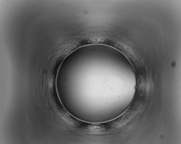 X0000099310315200805091024