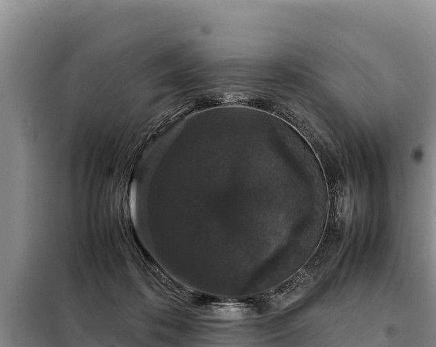 X0000099310316200805091024