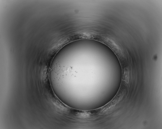 X0000099310318200805091024