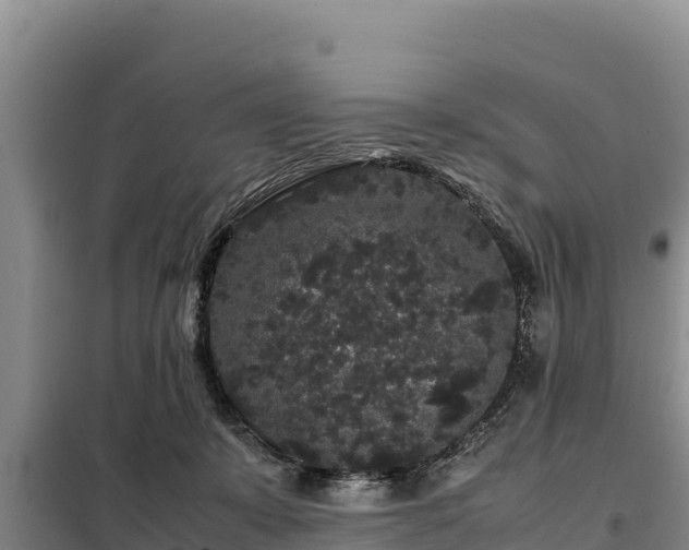 X0000099310319200805091024