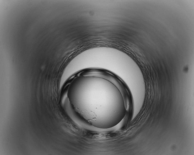 X0000099310320200805091024