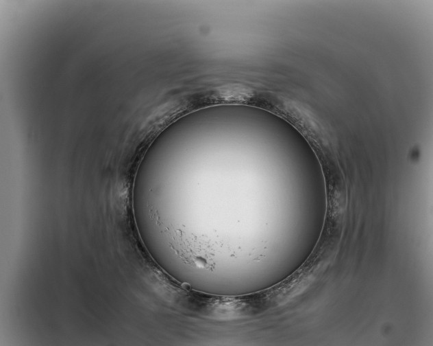 X0000099310321200805091024