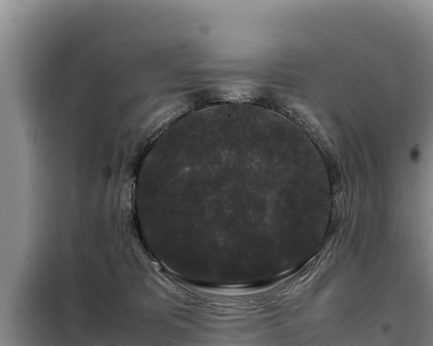 X0000099310325200805091024