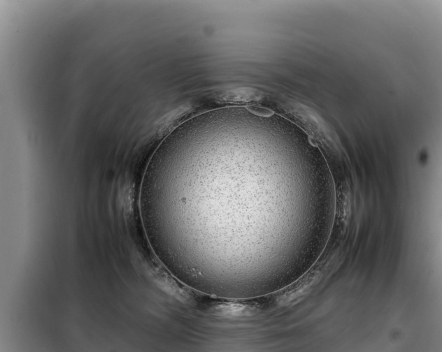 X0000099310326200805091024