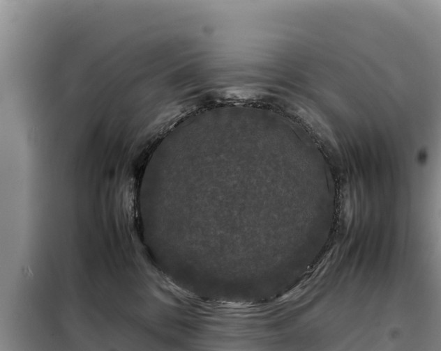 X0000099310328200805091024