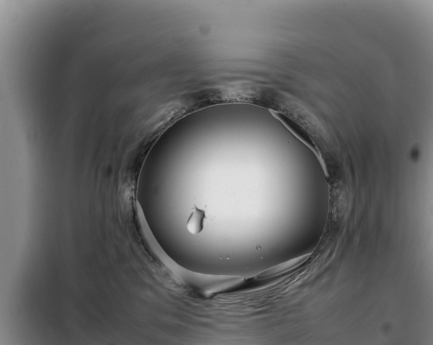 X0000099310329200805091024