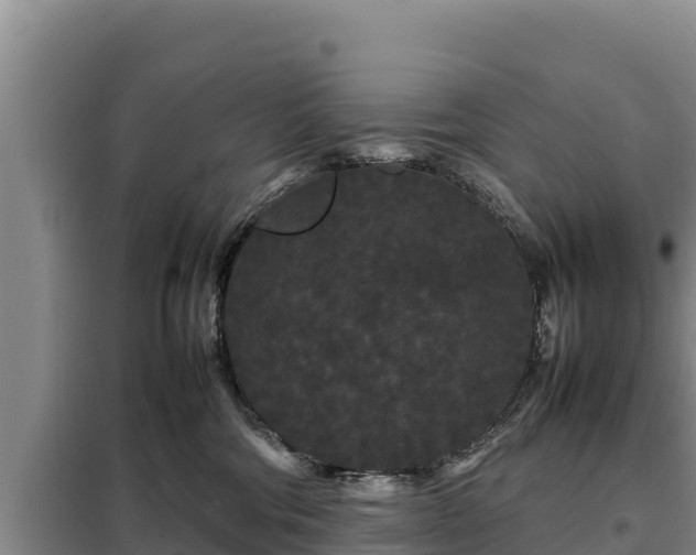 X0000099310330200805091024