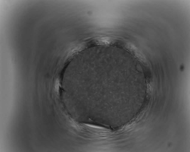 X0000099310331200805091024