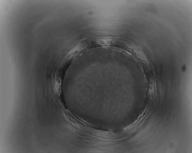 X0000099310332200805091024