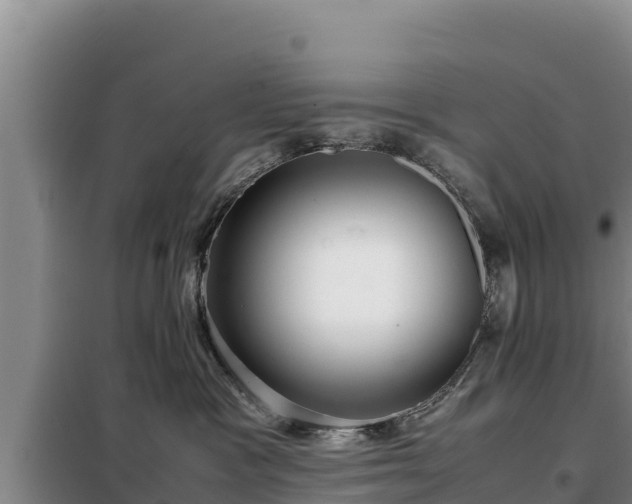 X0000099310333200805091024