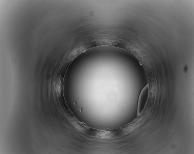 X0000099310334200805091024