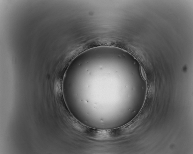 X0000099310335200805091024