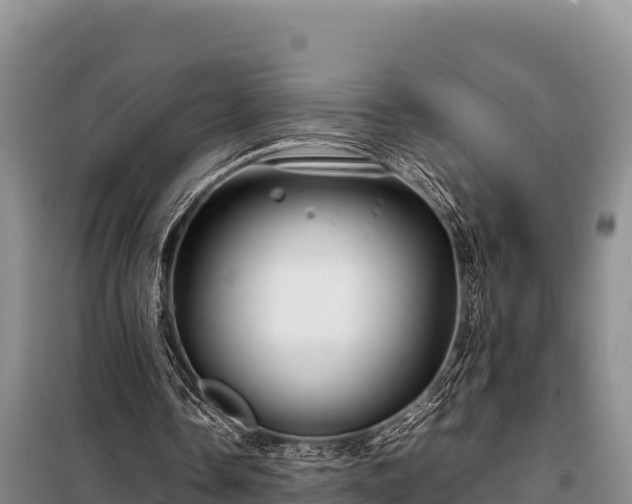 X0000099310338200805091023