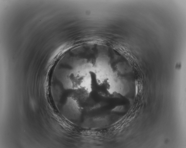 X0000099310339200805091023