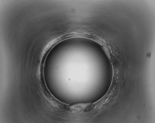 X0000099310340200805091023