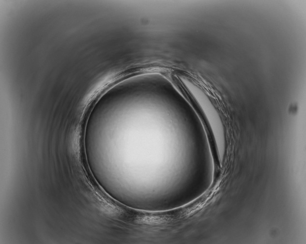 X0000099310341200805091023