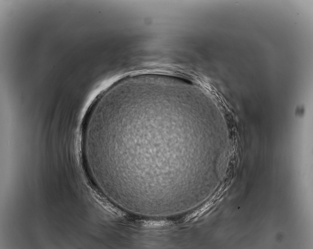 X0000099310342200805091023