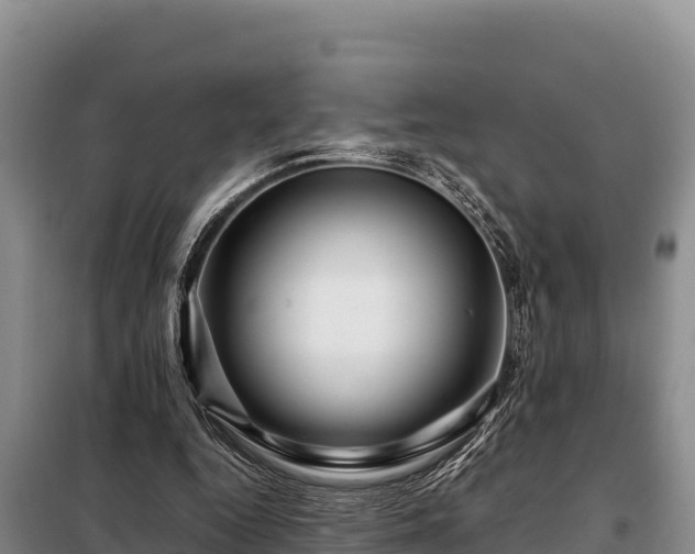 X0000099310344200805091023